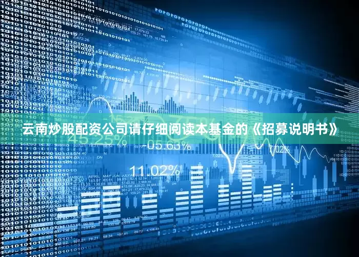云南炒股配资公司请仔细阅读本基金的《招募说明书》