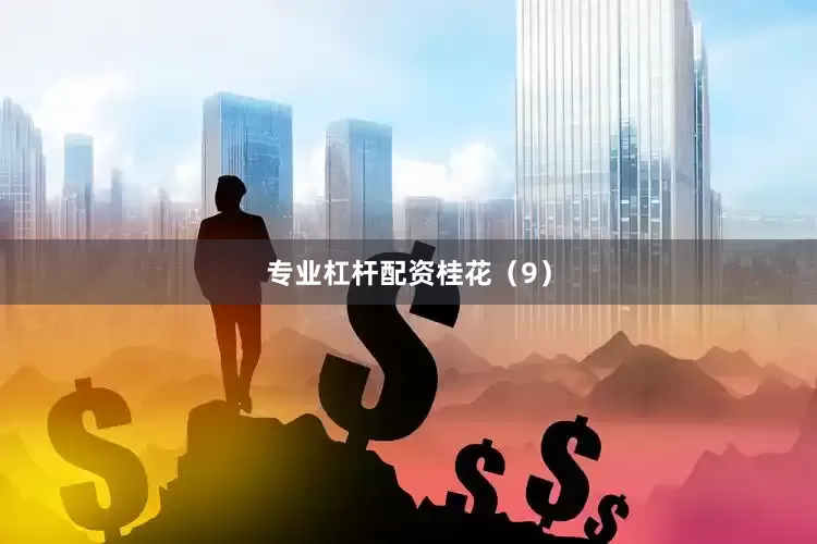 专业杠杆配资桂花（9）