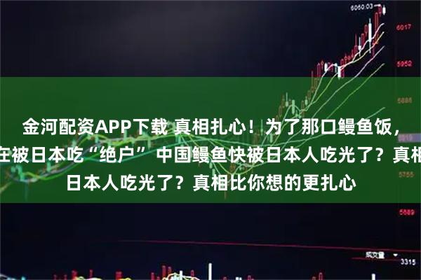 金河配资APP下载 真相扎心！为了那口鳗鱼饭，中国野生鳗苗正在被日本吃“绝户” 中国鳗鱼快被日本人吃光了？真相比你想的更扎心